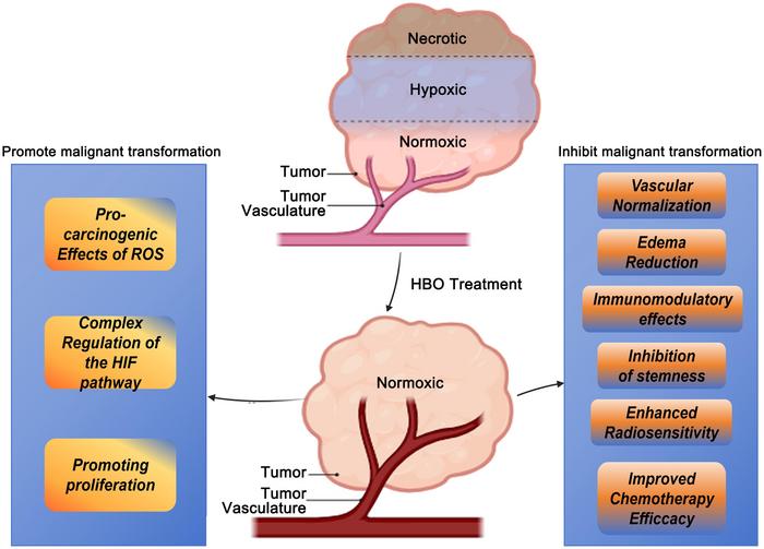 Dual effects of hyperbaric oxygen treatment in glioblastoma