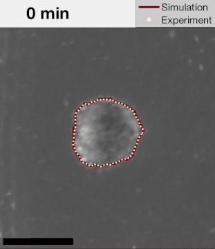 Time-Lapse Image Sequences