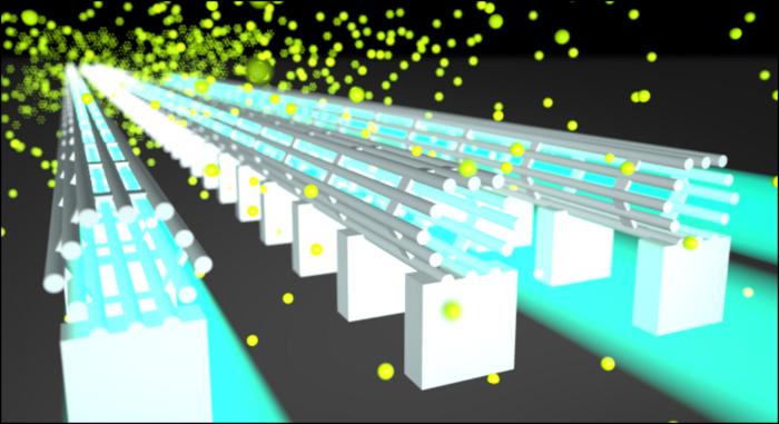 Figure | Design of light cages for enhanced light-matter interaction.