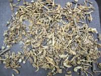 Small Mammal Bones
