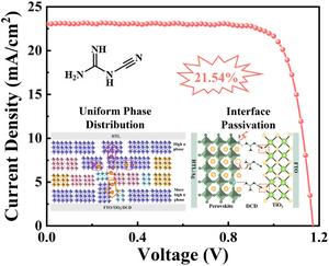 Dicyandiamide-Driven Tailoring of the n-Value Distribution and Interface Dynamics for High-Performance ACI 2D Perovskite Solar Cells