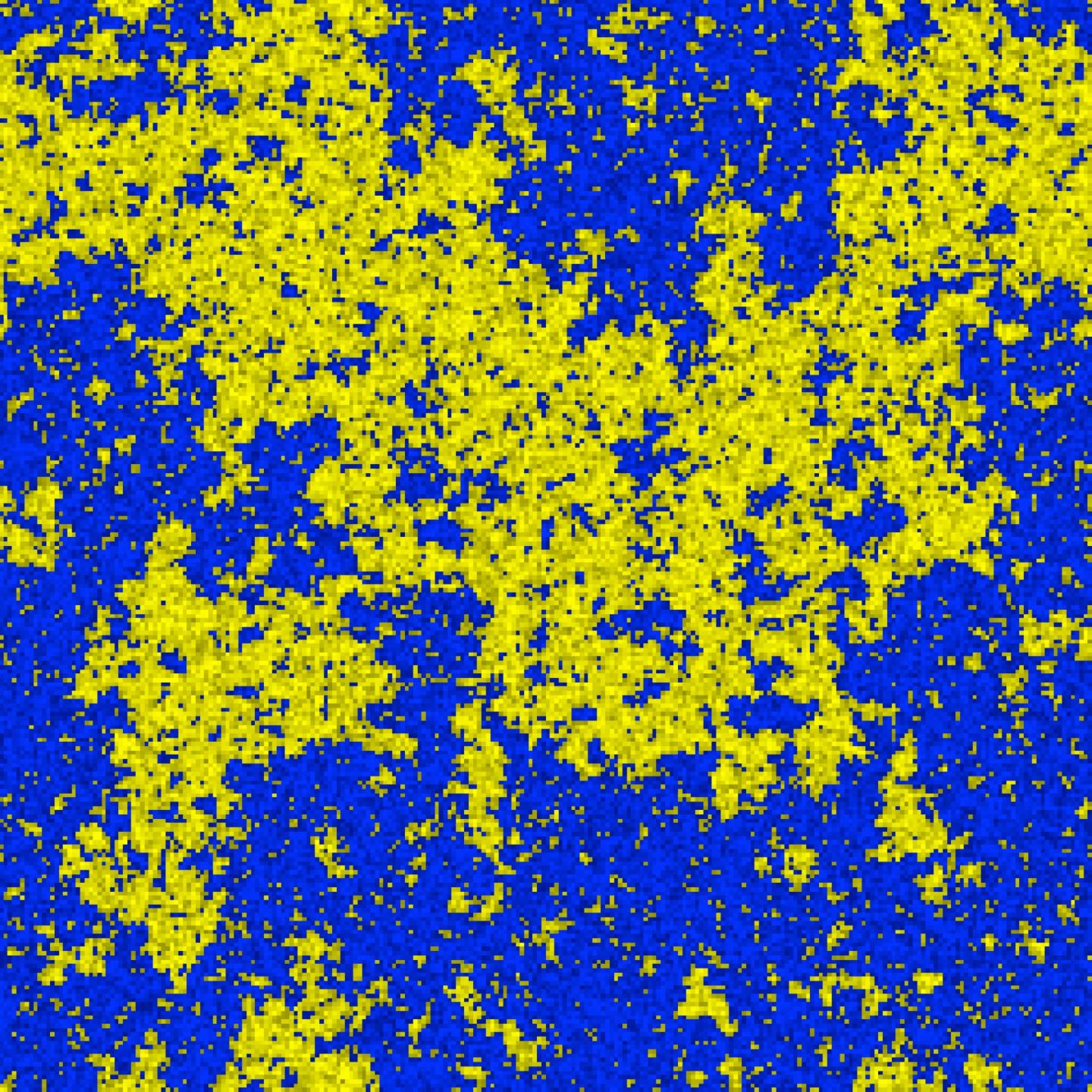 Synchonicity