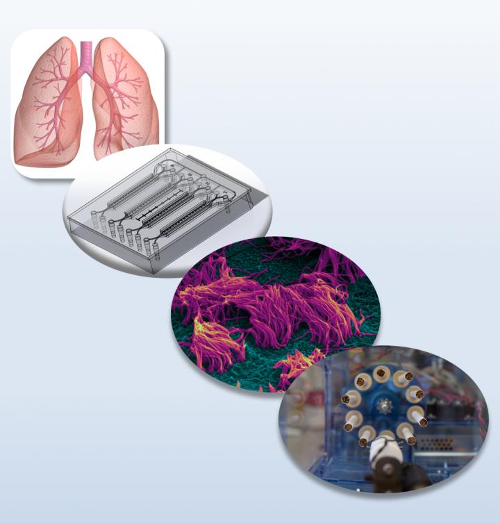 Smoking Lung Chip Technology