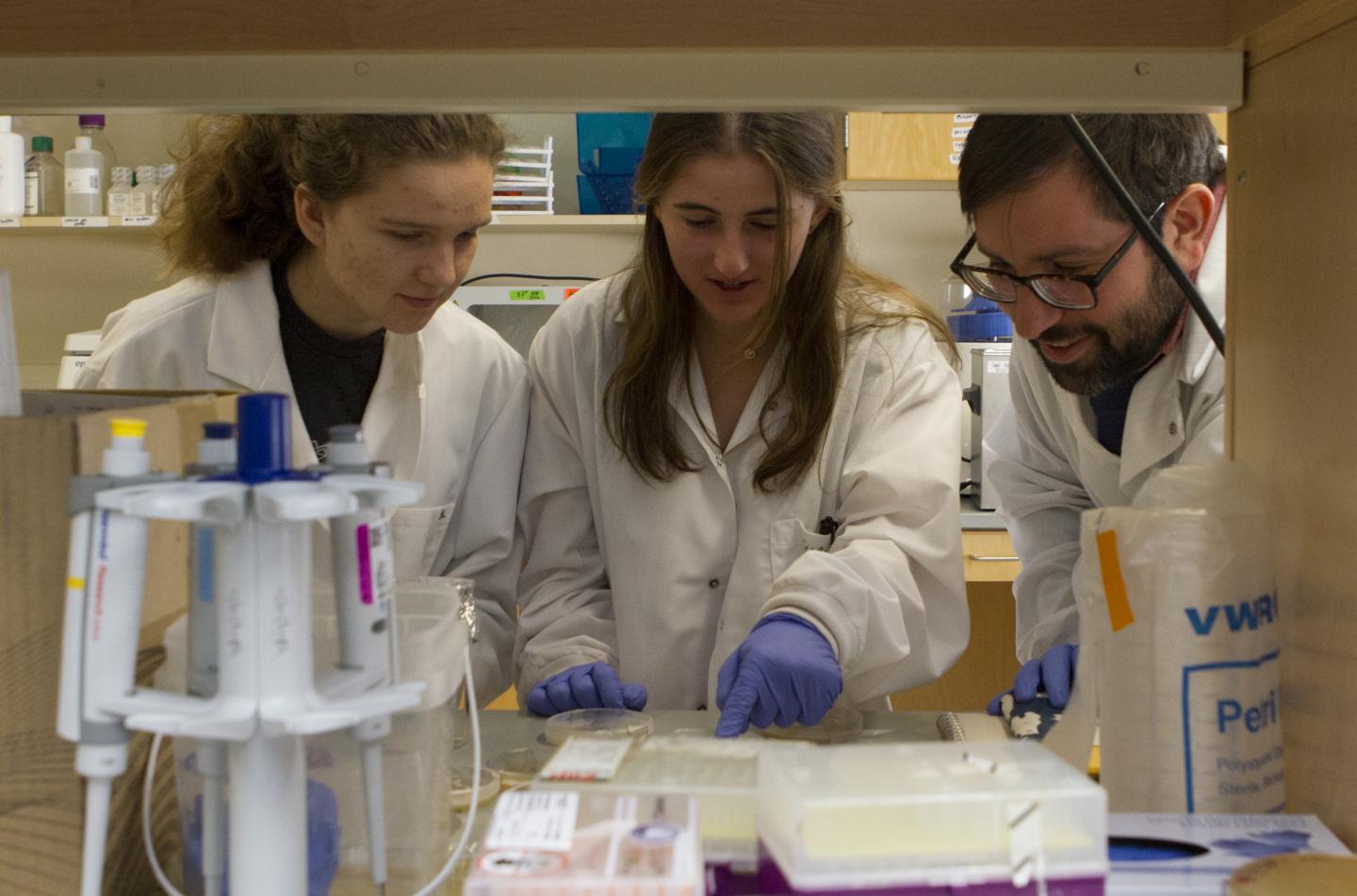 Analyzing Samples from a Citizen-Science Sourdough Project