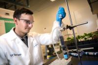 plant virus for targeted pesticide delivery - 2