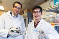 Richard Cheng and Axel Guenther