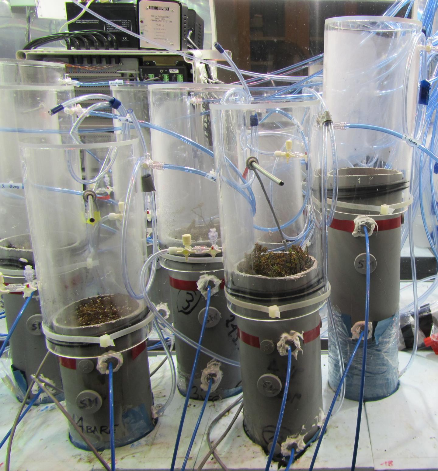 Peat Mesocosms