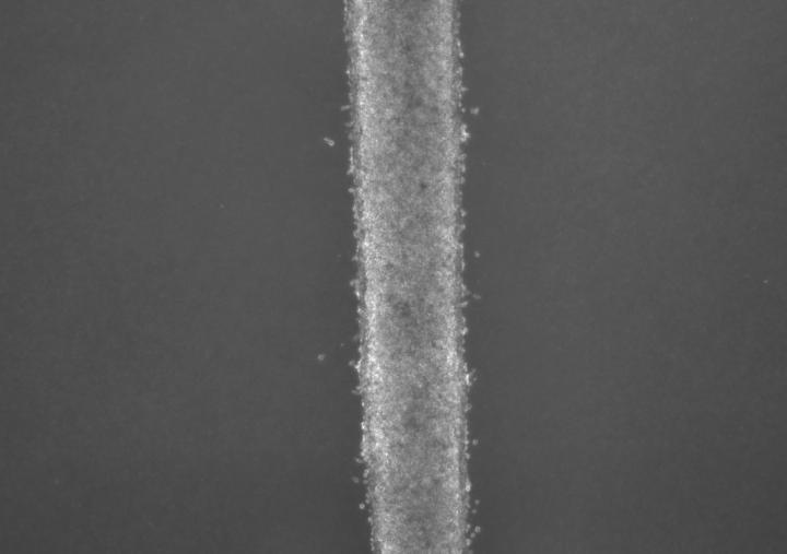 Microfluidic Chamber