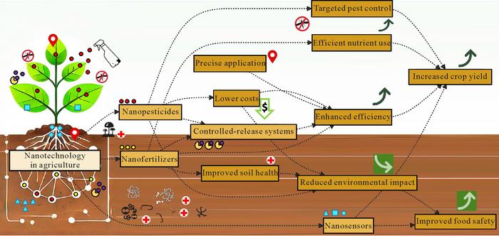 Schematic showing the use of nanotechnology for safe agriculture and food production.