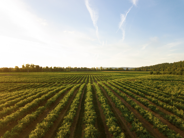 Farmland
