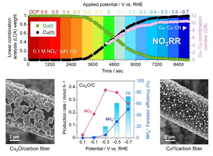 Catalysts for electrochemical conversion of nitrates to ammonia.