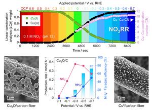 Catalysts for electrochemical conversion of nitrates to ammonia.