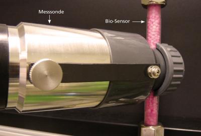 The Taster in Your Water Line