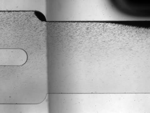 Microfluidic Device