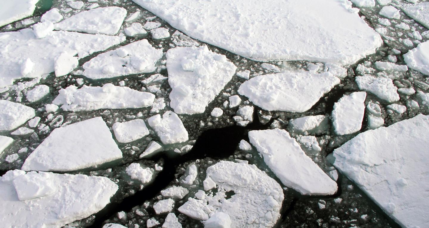PJ SEA ICE 2