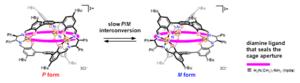 Fig. 2. Structure of the triple-helical closed-cage molecule.