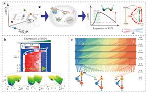 Figure 1. a, Probability that randomly parameterized biochemical networks realize the target dynamical behaviour. b, An effective potential landscape delineating cell-death fate decisions. c, Topology–probability evolutionary map of three-node networks