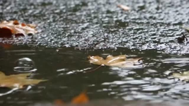It Never Rains but It Pours