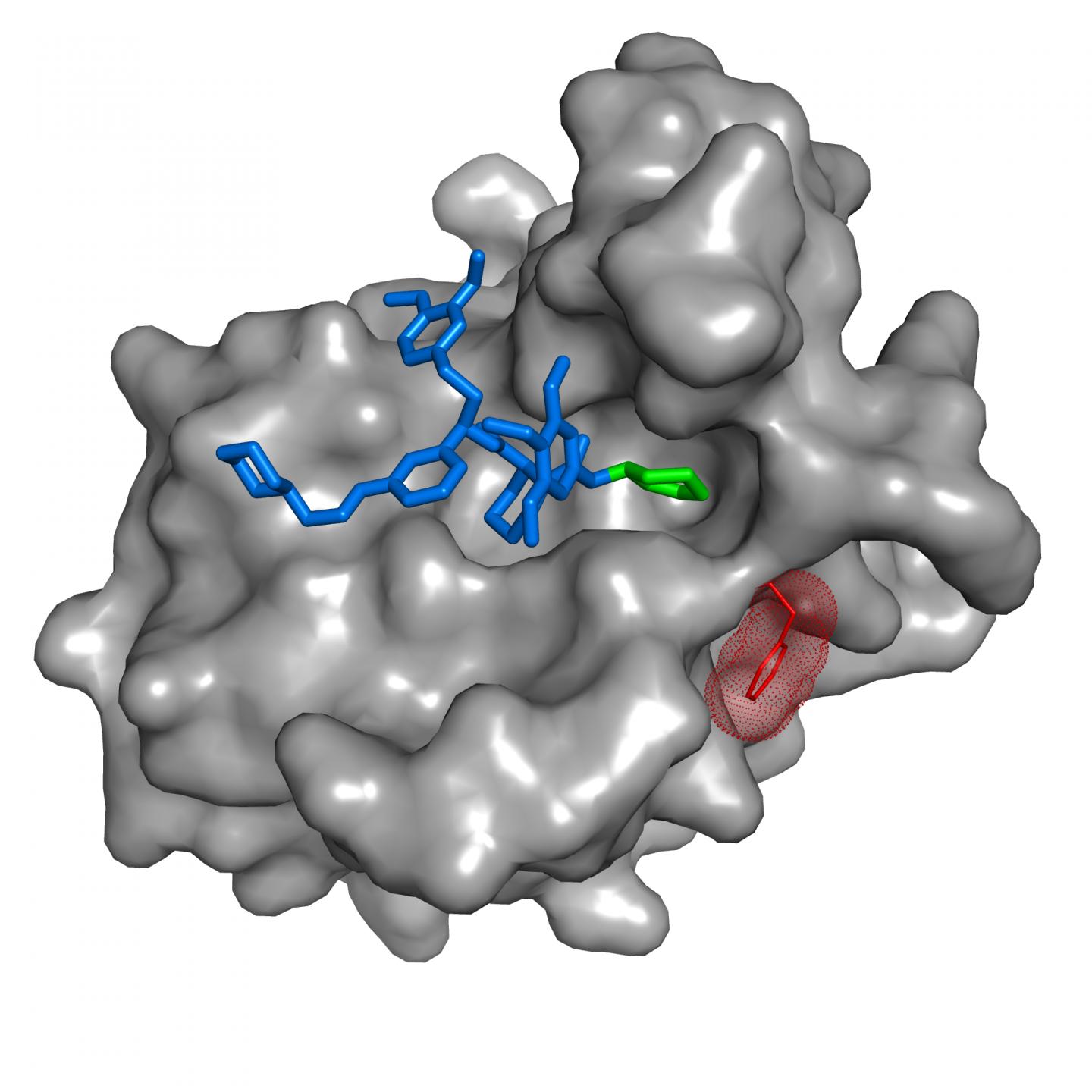 SAFit Ligand