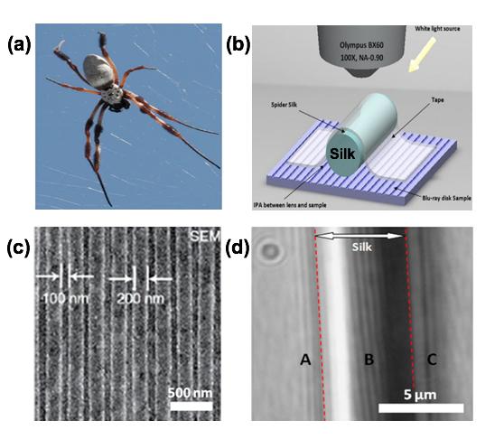 Spider Silk Lens Images