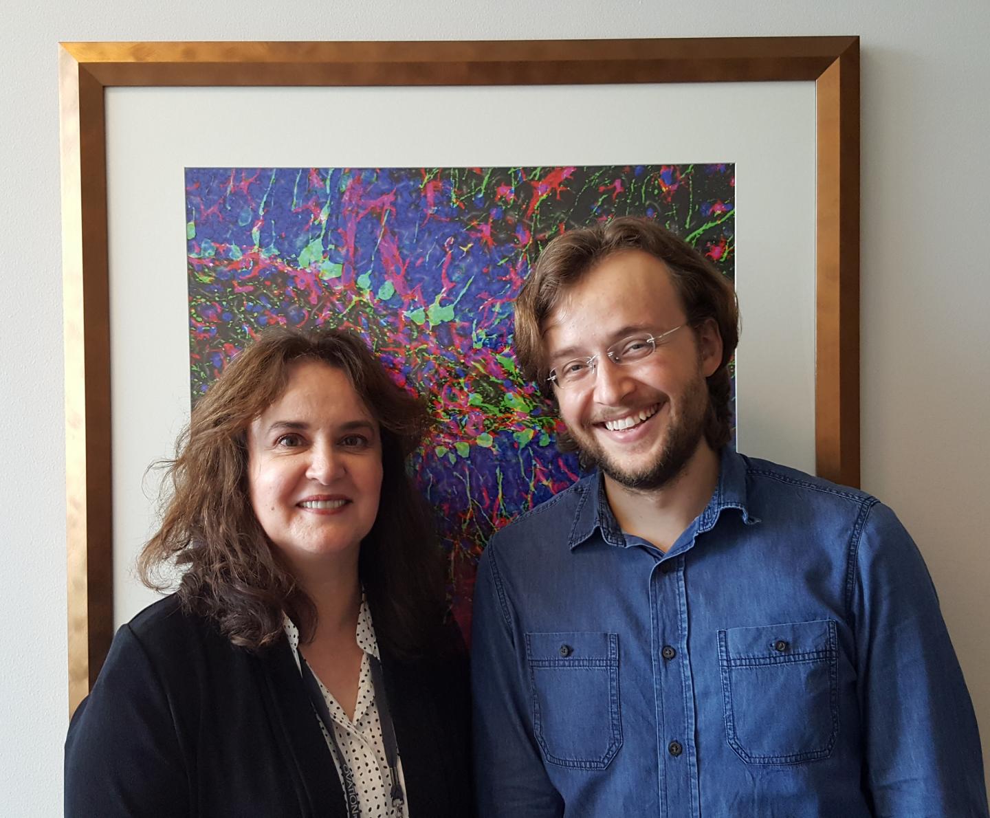 The Senior and First Authors of the Work
