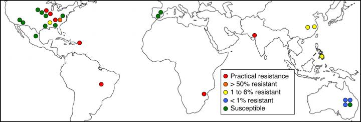 Map Showing Resistance to Bt Toxins