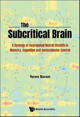 The Subcritical Brain: A Synergy of Segregated Neural Circuits in Memory, Cognition and Sensorimotor Control