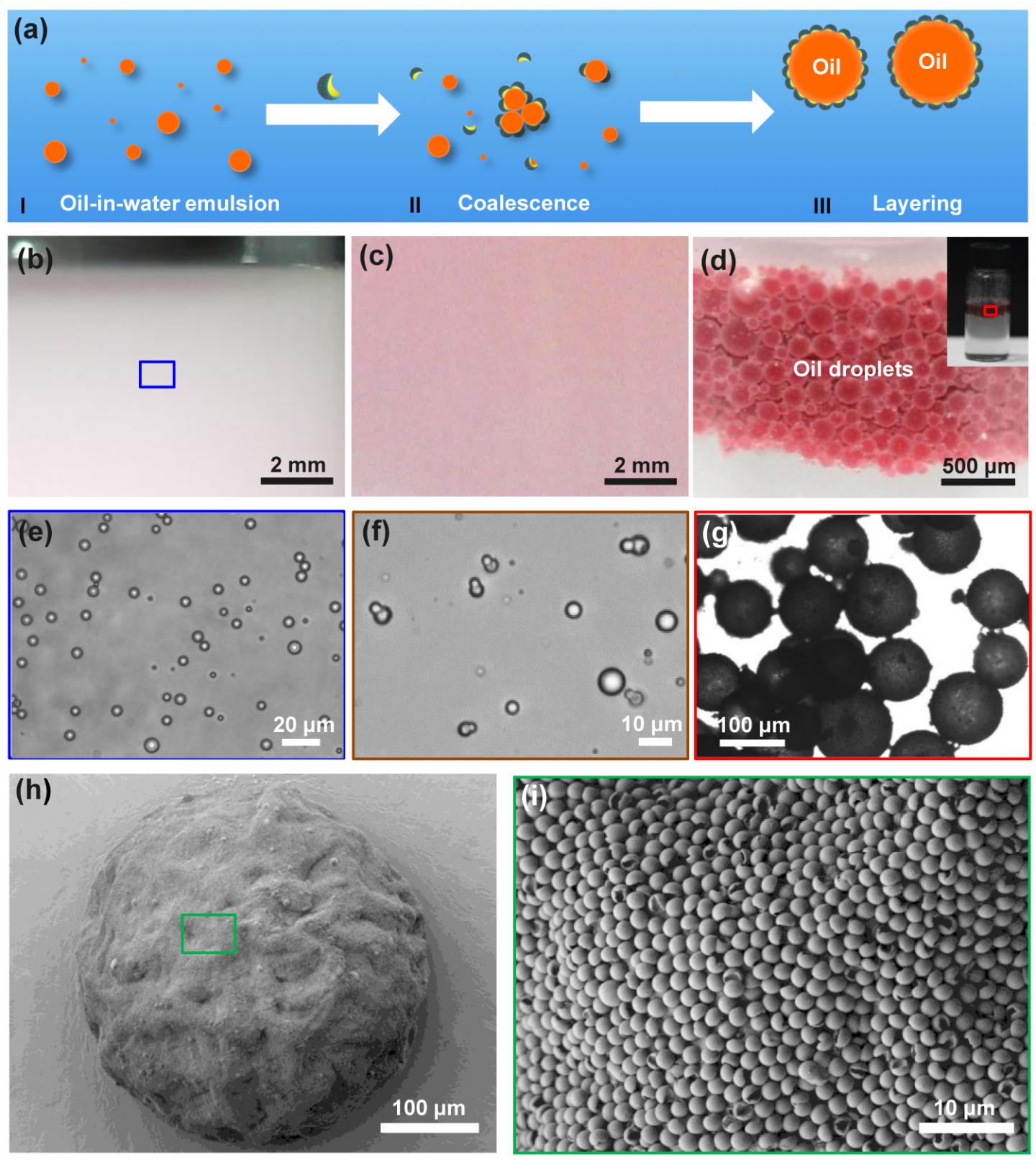 Mechanism for Oil-Water Separation