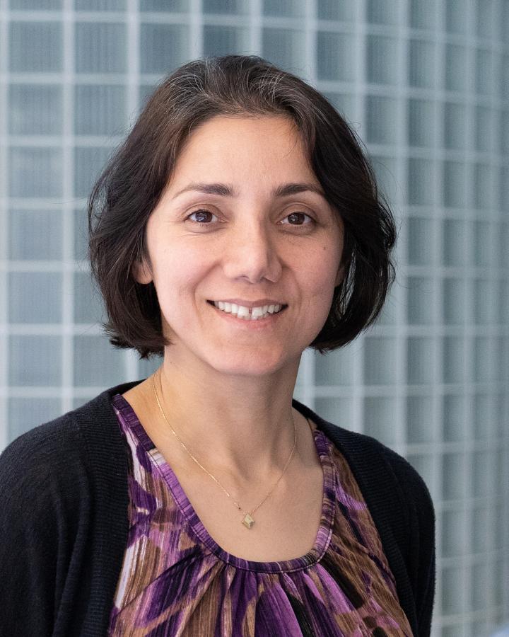 Mercedeh Khajavikhan, University of Central Florida