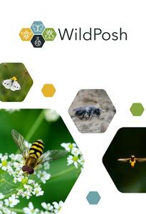 WildPosh topical collection in RIO