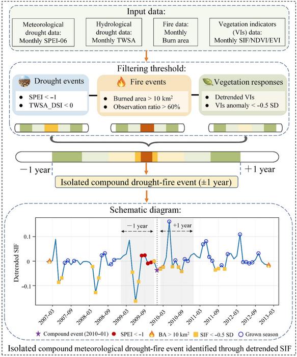 Workflow for identifying compound drought–fire events and schematic illustration of the time window used to define isolated compound meteorological drought–fire events.