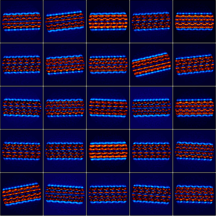 Flagellum filament