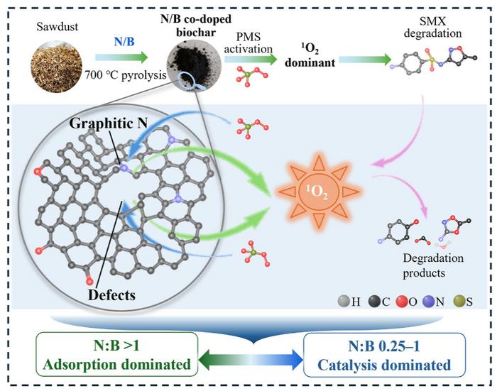 Tailored co-doped biochar by varying the N:B ratio as peroxymonosulfate activator for sulfamethoxazole degradation