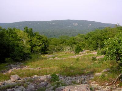 Ozark Glade