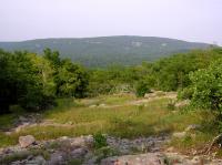 Ozark Glade