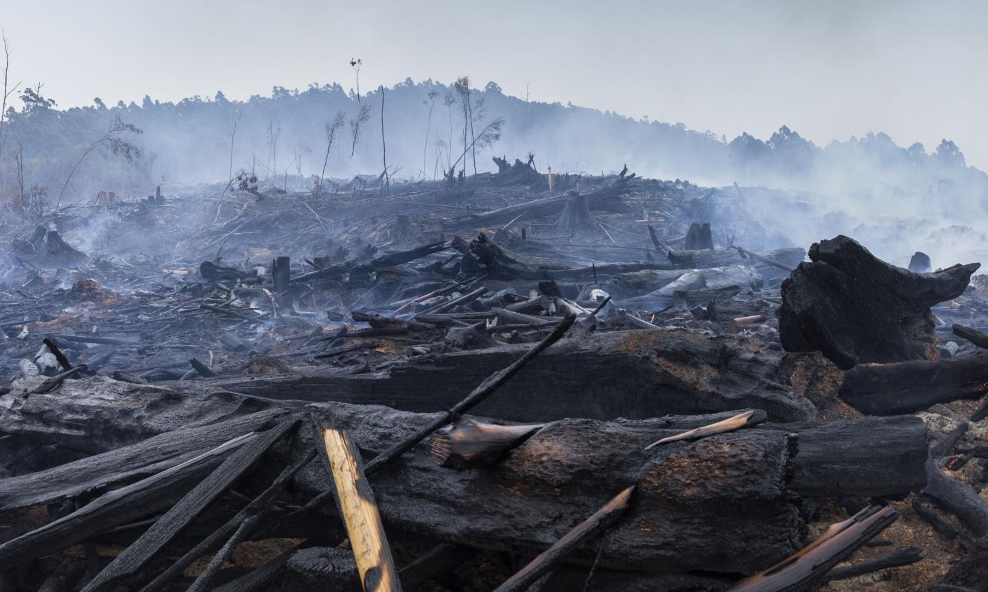 California Wildfires Enable Carbon Cycle Research