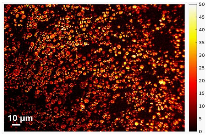 Brightness data in a coin cell battery