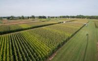 Aerial View of Agriculture Experiments