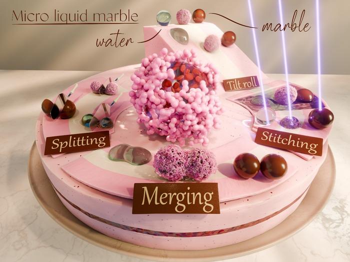 Wonderland of “micro liquid marble”