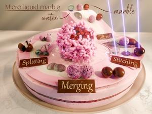 Wonderland of “micro liquid marble”