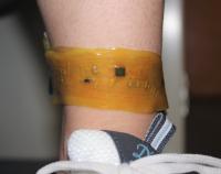 Ankle