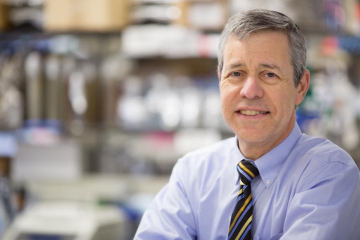 Harris Goldstein, Albert Einstein College of Medicine