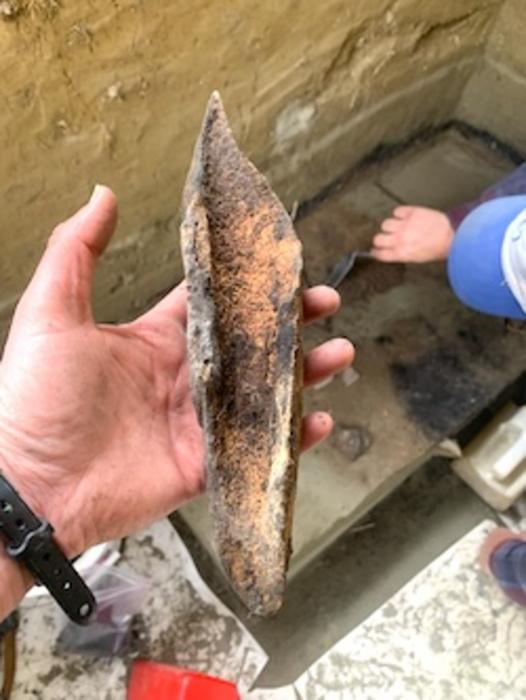 Bison bone