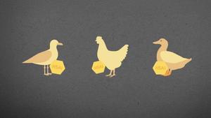 The Deadly Five: Avian Influenza