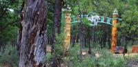 Spooky Conservation: Saving Endangered Species over Our Dead Bodies