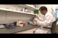 MU Researcher Fights Cachexia with New Drug