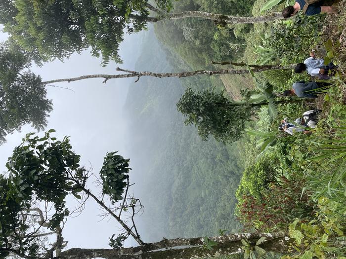 Researchers traverse a cloud forest