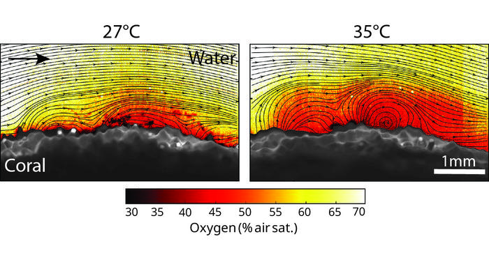 Oxygen levels