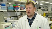 Ending the Perfect Storm: Protein Key to Beating Flu Pandemics