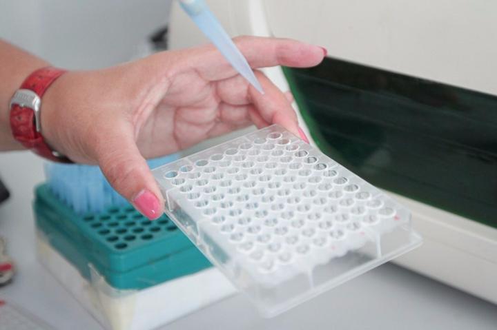 The Team is Focused on <em>Proteus, Morganella, Providencia</em>, and <em>Serratia genera</em>